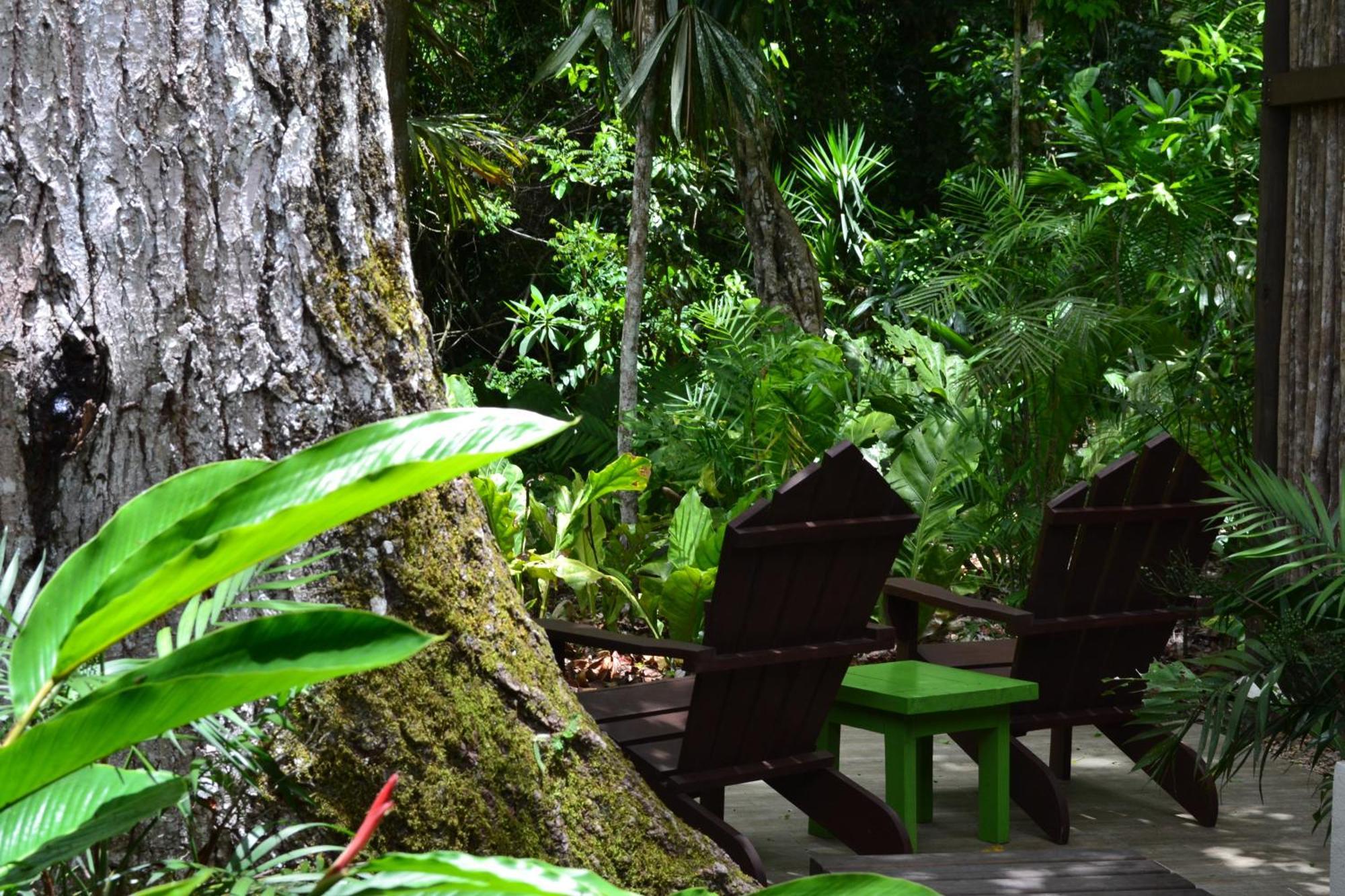 Hotel Jungle Lodge Tikal Rom bilde