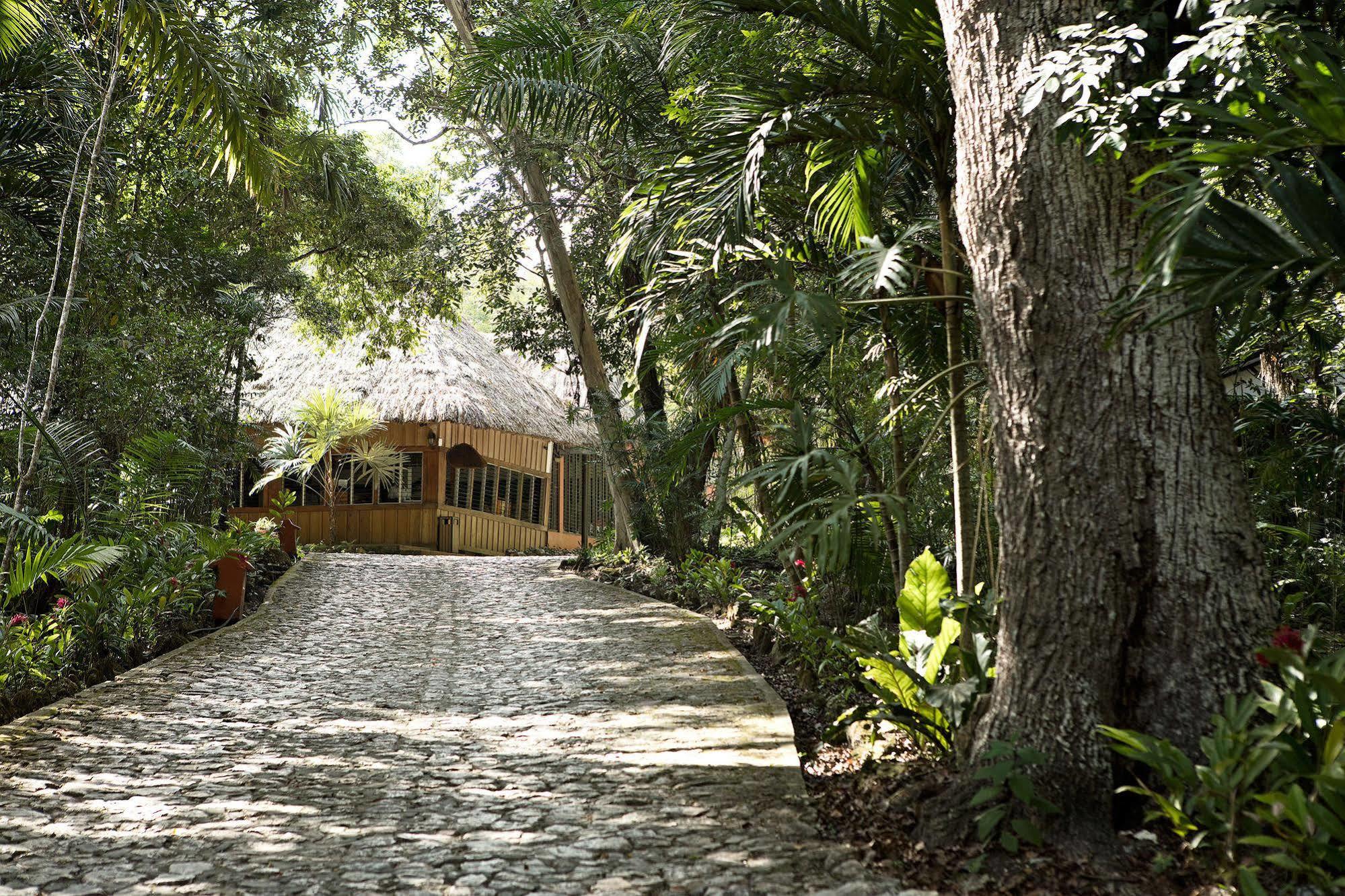 Hotel Jungle Lodge Tikal Eksteriør bilde